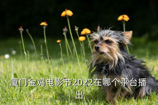 廈門金雞電影節(jié)2022在哪個(gè)平臺(tái)播出