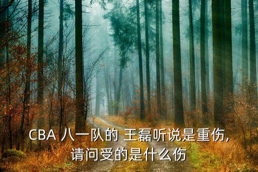 八一隊王磊去哪個球隊了,八一男籃解散王磊膝蓋韌帶完全斷裂