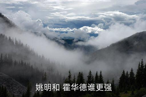  姚明和 霍華德誰更強(qiáng)