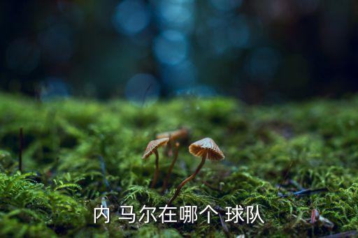 內(nèi)馬爾在哪個(gè)國(guó)家在哪個(gè)球隊(duì),最有可能接替貝利成為球王的人!
