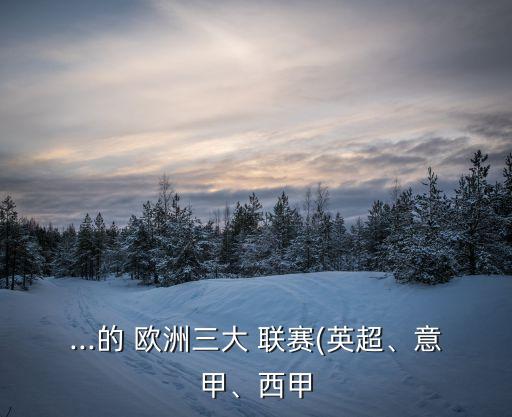 ...的 歐洲三大 聯(lián)賽(英超、意甲、西甲