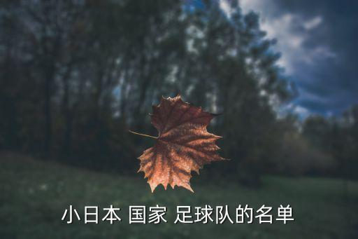 橫濱fc是哪個(gè)國家的足球隊(duì),日本足球俱樂部改名為川崎足球隊(duì)