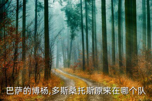 巴薩的博楊,多斯桑托斯原來在哪個隊