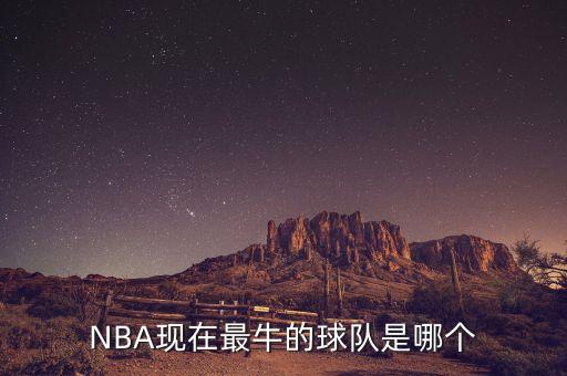 活塞和奇才哪個厲害,我個人總結:nba總冠軍還是有希望