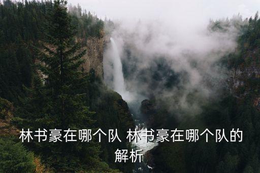  林書豪在哪個隊(duì) 林書豪在哪個隊(duì)的解析