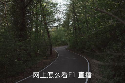 網(wǎng)上怎么看F1 直播