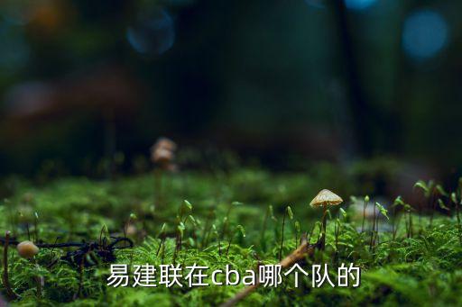 易建聯(lián)在哪個俱樂部,易建聯(lián)加入廣東宏遠(yuǎn)俱樂部