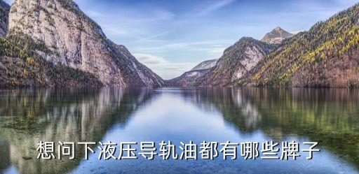 想問下液壓導軌油都有哪些牌子
