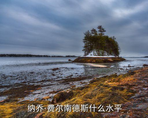  納喬·費爾南德斯什么水平