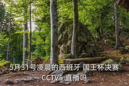 國王杯哪個電視臺直播,巴塞羅那擊敗畢爾巴鄂競技奪冠