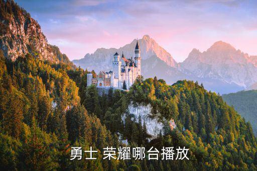 勇士榮耀在哪個(gè)臺(tái)直播嗎,是由萬(wàn)傳媒打造具有中國(guó)力量的格斗館