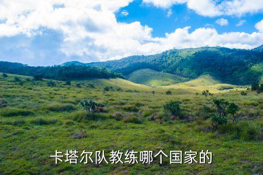 卡洛斯桑切斯哪個隊(duì),前國腳桑切斯加盟卡塔爾隊(duì)
