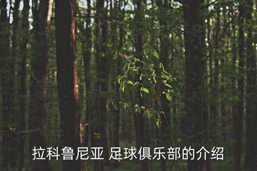 por是哪個(gè)國(guó)家足球球隊(duì),nba擁有的球隊(duì)拼寫(xiě)如下