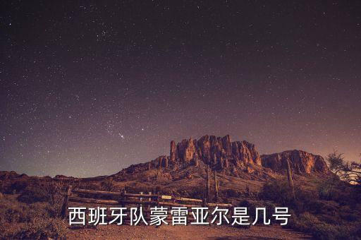 阿斯帕斯在哪個隊(duì),世界杯分組西班牙與葡萄牙、伊朗分在b組