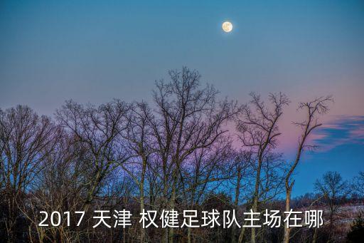 2017 天津 權健足球隊主場在哪