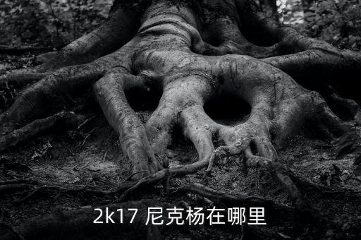 尼克楊現在在哪個球隊,nba球員尼克楊的職業(yè)生涯回顧