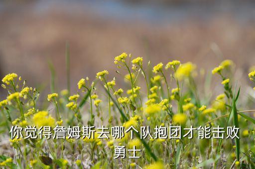 你覺(jué)得詹姆斯去哪個(gè)隊(duì)抱團(tuán)才能擊敗 勇士