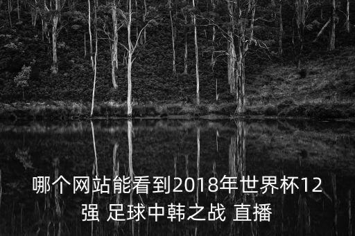 哪個網(wǎng)站能看到2018年世界杯12強(qiáng) 足球中韓之戰(zhàn) 直播