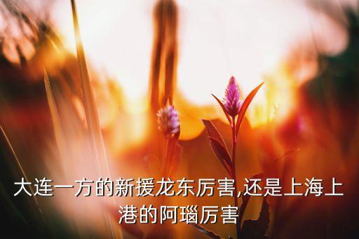 阿瑙托維奇在哪個(gè)隊(duì),英超球隊(duì)簽下不來梅前鋒阿瑙托-1/