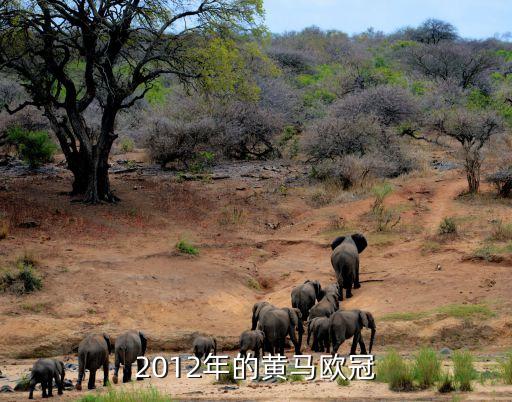 2012年的黃馬歐冠