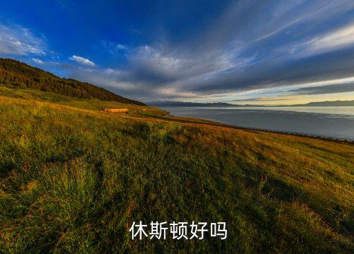 達拉斯 休斯頓 哪個好,美國休斯頓大學綜合實力不如預期