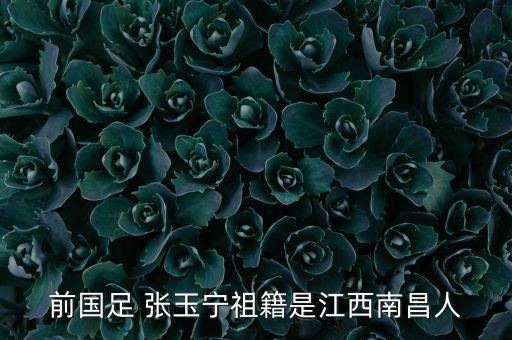 前國(guó)足 張玉寧祖籍是江西南昌人