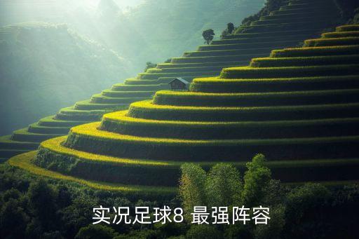  實(shí)況足球8 最強(qiáng)陣容
