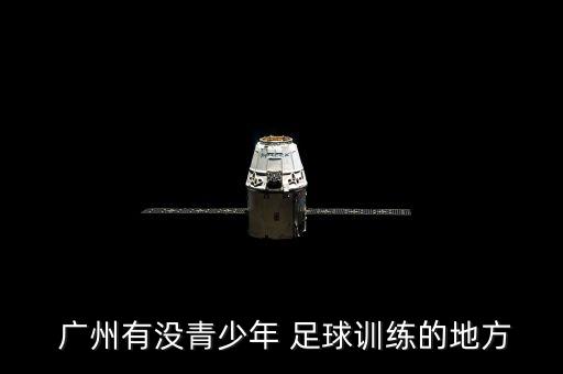 廣州少兒足球哪個好,廣東清遠(yuǎn)恒大皇馬足球?qū)W校正式成立