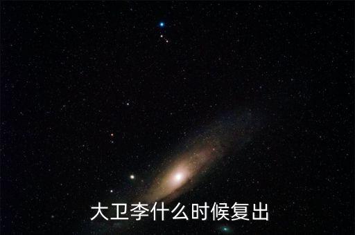 大衛(wèi)李去哪個隊了,勇士總經(jīng)理:我應(yīng)讓大衛(wèi)-李休戰(zhàn)