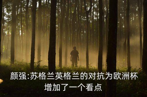 顏強(qiáng)是哪個隊(duì)的球迷,中國足協(xié)管不了河南球迷的行為