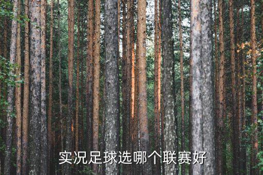  實況足球選哪個聯(lián)賽好