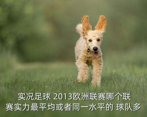 實(shí)況2013哪個(gè)球隊(duì)好使,建議中田英壽買速5比較便宜!