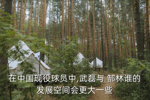 郜林轉會到哪個隊,轉會廣州恒大足球俱樂部前國腳郜林進球不多