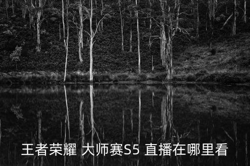 香港大師賽哪個臺直播,王者榮耀大師賽直播可開通斗魚觀看