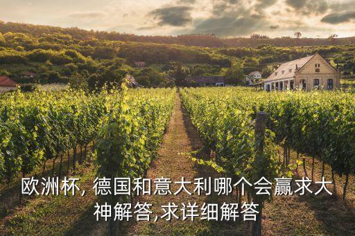 歐洲杯, 德國和意大利哪個會贏求大神解答,求詳細(xì)解答