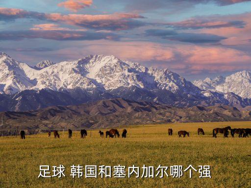 韓國(guó)對(duì)波黑球隊(duì)哪個(gè)強(qiáng),補(bǔ)時(shí)最后一球韓國(guó)險(xiǎn)勝日本晉級(jí)淘汰賽