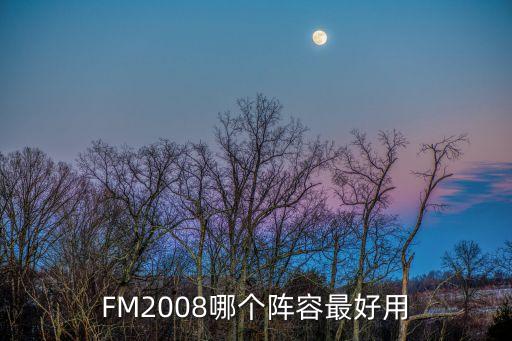 FM2008哪個陣容最好用