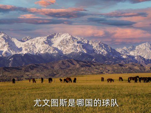 尤文圖斯是哪個(gè)聯(lián)賽,意甲聯(lián)賽大滿貫尤文圖斯足球俱樂部