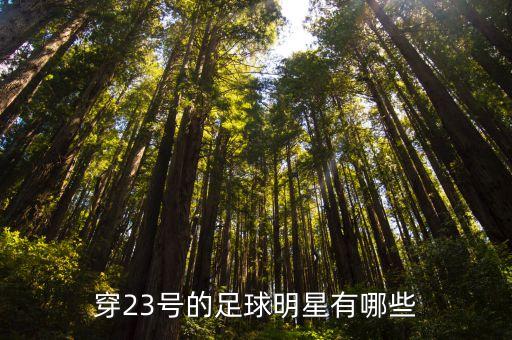23號(hào)號(hào)是哪個(gè)球星,中國足球隊(duì)23名球員是神