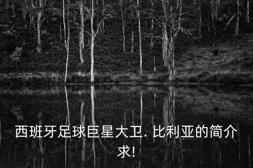 比利亞在哪個隊,足壇消息:比利亞600萬歐元轉(zhuǎn)會巴塞羅那