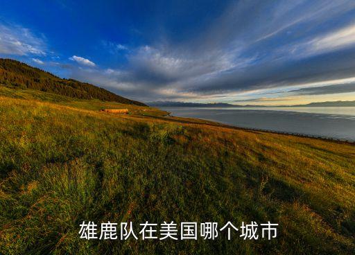  雄鹿隊(duì)在美國哪個城市