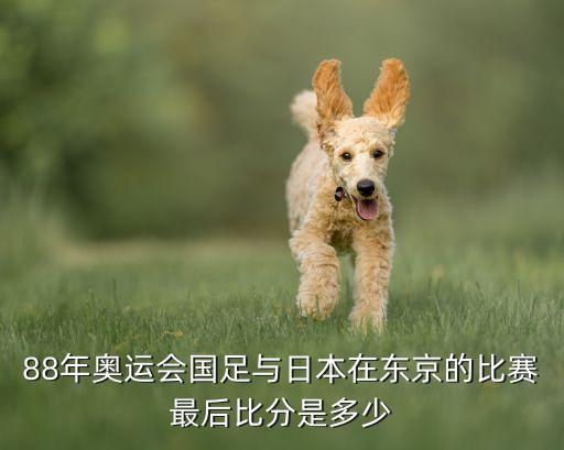 唐堯東在哪個(gè)隊(duì),我國足球隊(duì)前球員麥超揭幕戰(zhàn)日本隊(duì)奪冠