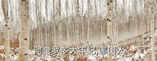 阿奎羅哪個國家的,阿圭羅轉(zhuǎn)會曼城開始職業(yè)生涯巔峰