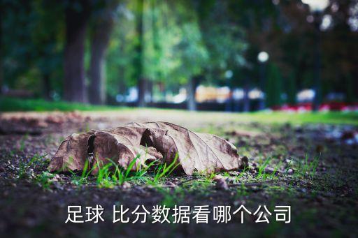 足球 比分數(shù)據(jù)看哪個公司
