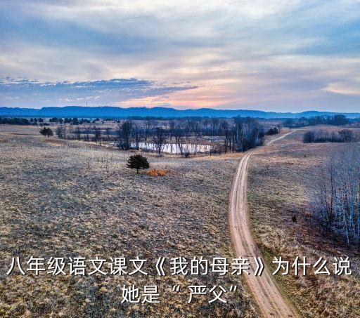 嚴(yán)父是哪個隊(duì),《下一個奇跡》電視劇原型簡介