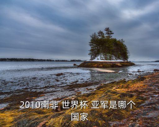 世界杯亞軍是哪個國家,阿根廷90世界杯亞軍沒有贏家世衛(wèi)組織