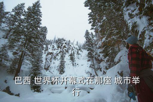  巴西 世界杯開(kāi)幕式在那座 城市舉行