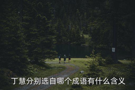 丁慧在哪個(gè)隊(duì),杭州丁慧實(shí)驗(yàn)小學(xué)是一所高起點(diǎn)現(xiàn)代化小學(xué)