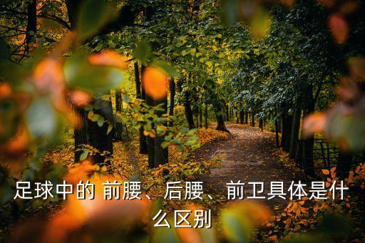 前腰是哪個(gè)位置,中腰位置定位:進(jìn)攻前衛(wèi)組織第二次進(jìn)攻