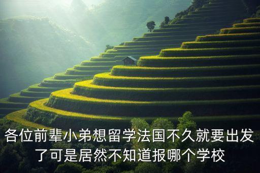 各位前輩小弟想留學法國不久就要出發(fā)了可是居然不知道報哪個學校